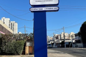 Totens de ACM em Baruerí | Guarusign
