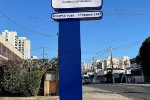 Totens de ACM em Baruerí | Guarusign