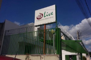 Totens de ACM no Porto da Igreja | Guarusign